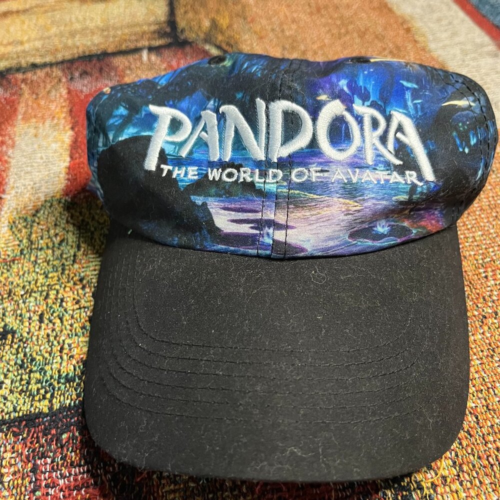 Disney Hat